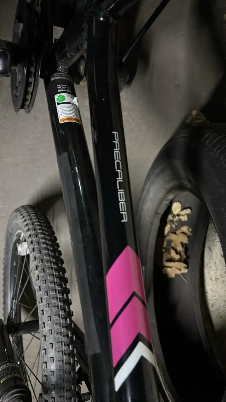 Bicicleta TREK Precaliber aro 20 - 4
