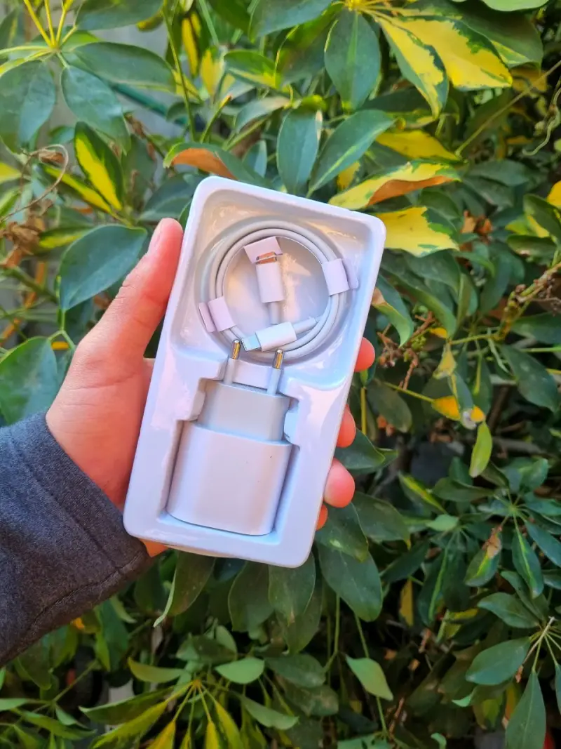‼️CARGADOR DE IPHONE RÁPIDO DELY EN PEÑAFLOR GRATIS