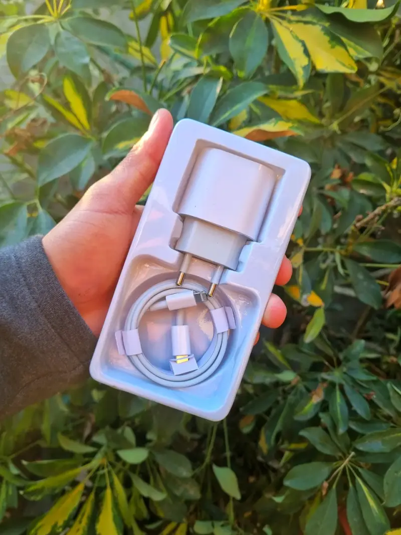 ‼️CARGADOR DE IPHONE RÁPIDO DELY EN PEÑAFLOR GRATIS - 2