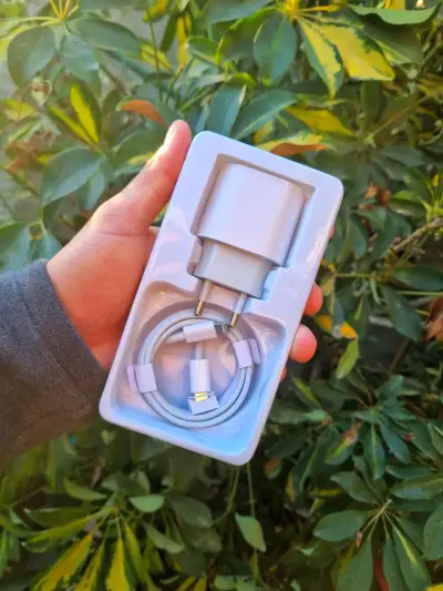 ‼️CARGADOR DE IPHONE RÁPIDO DELY EN PEÑAFLOR GRATIS - miniatura 2
