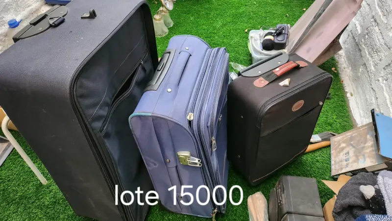 Lote de maletas de viaje variadas