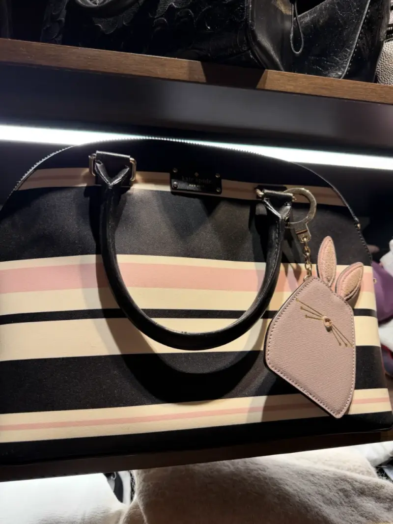 Bolso Kate Spade a rayas elegante - 3