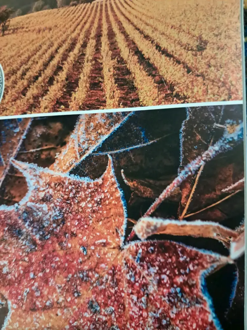 Revista La CAV sobre cambio climático - 2
