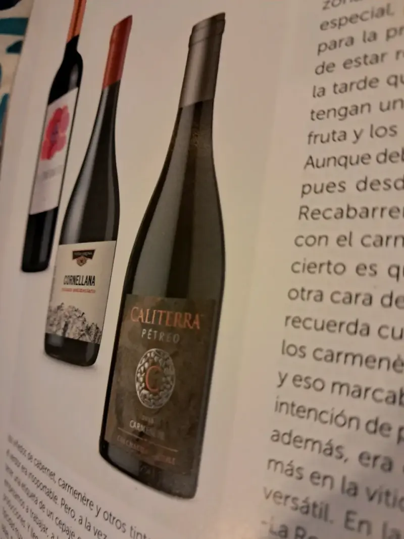 Revista La CAV Especial 30 años Carmenère - 4