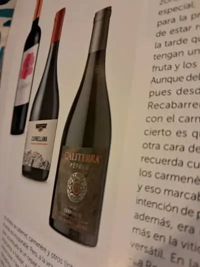 Revista La CAV Especial 30 años Carmenère - miniatura 4