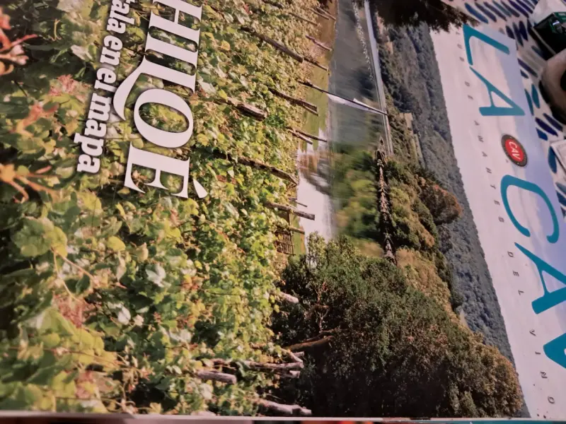Revista La CAV edición Chiloé - 1