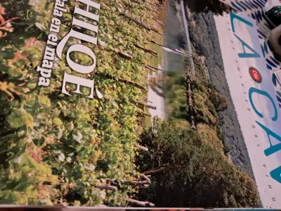 Revista La CAV edición Chiloé - miniatura 1