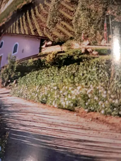 Revista La CAV edición Chiloé - miniatura 5