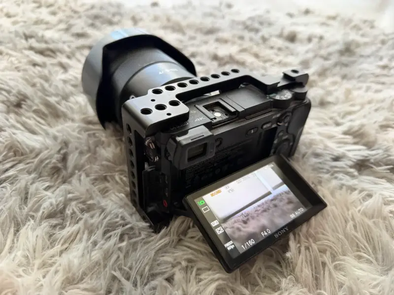 Sony A6300 + 18-105 G OSS - 2