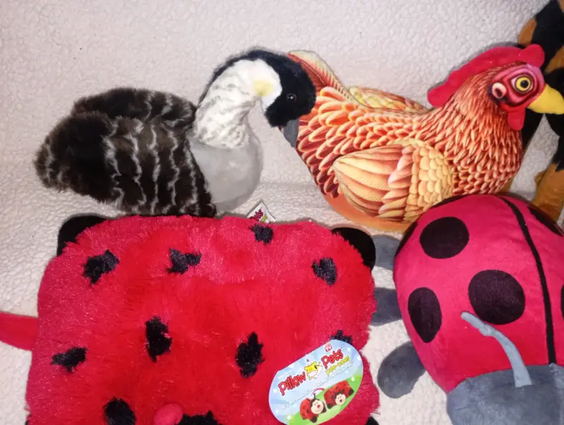 Set de peluches variados para niños - 5