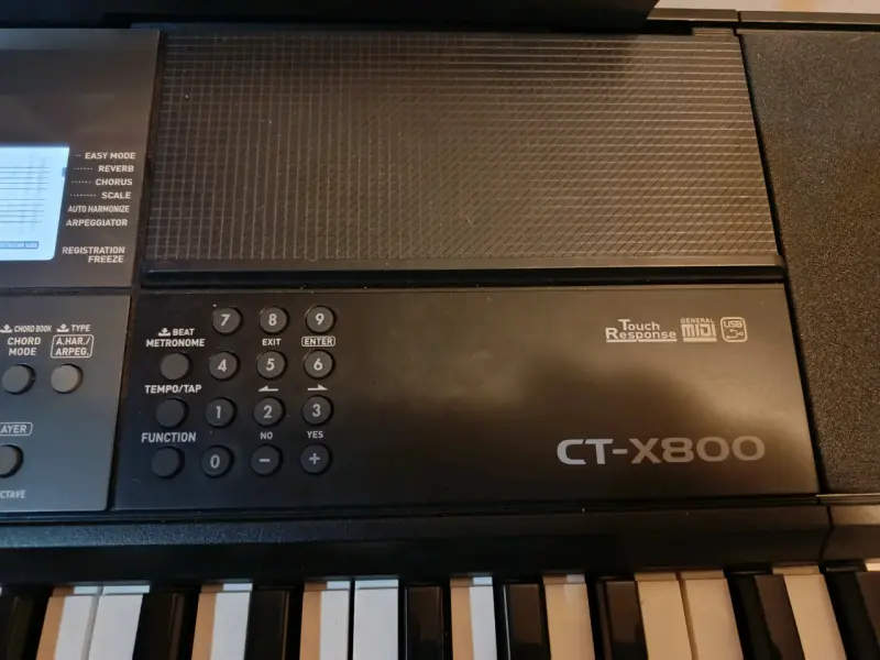 Teclado Casio CT-X800 con soporte - 4