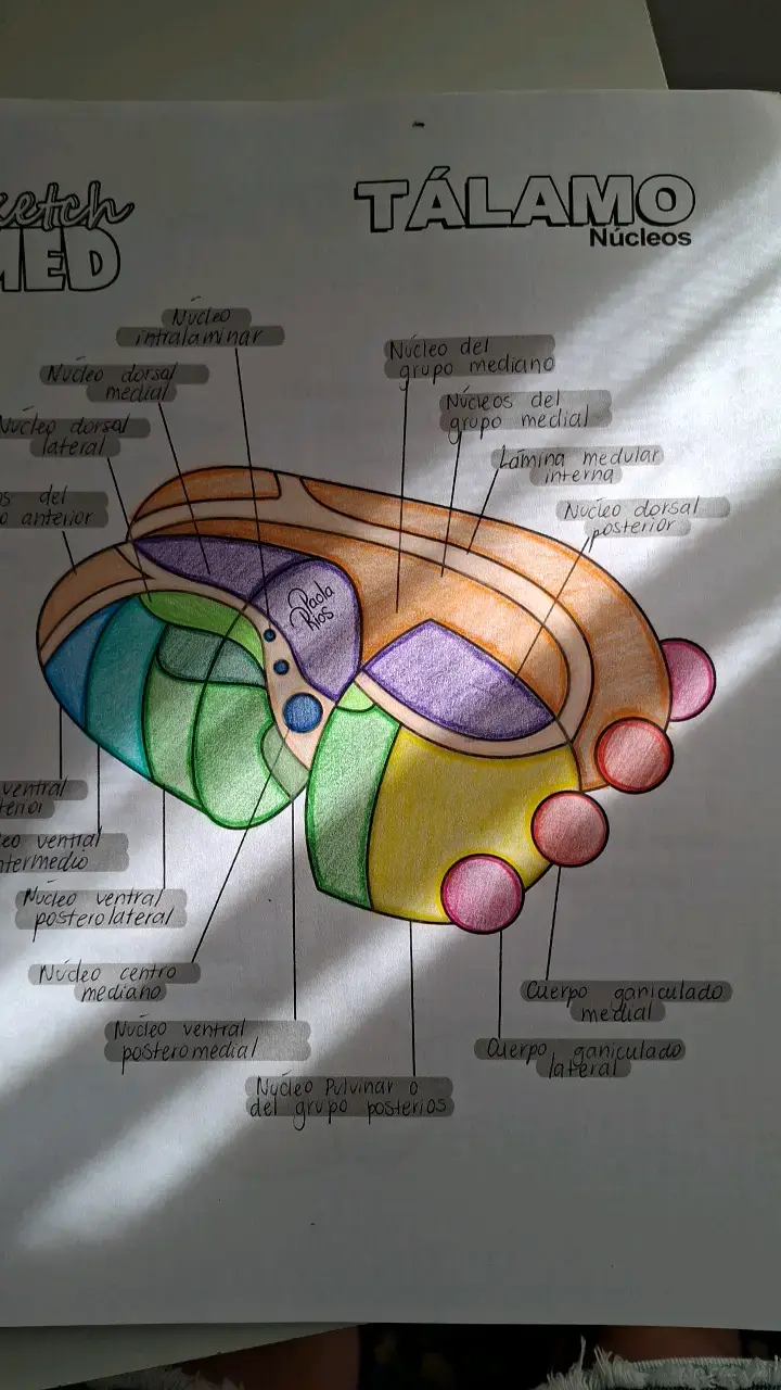 Libro Ilustraciones Médicas Edición 2019 - 3