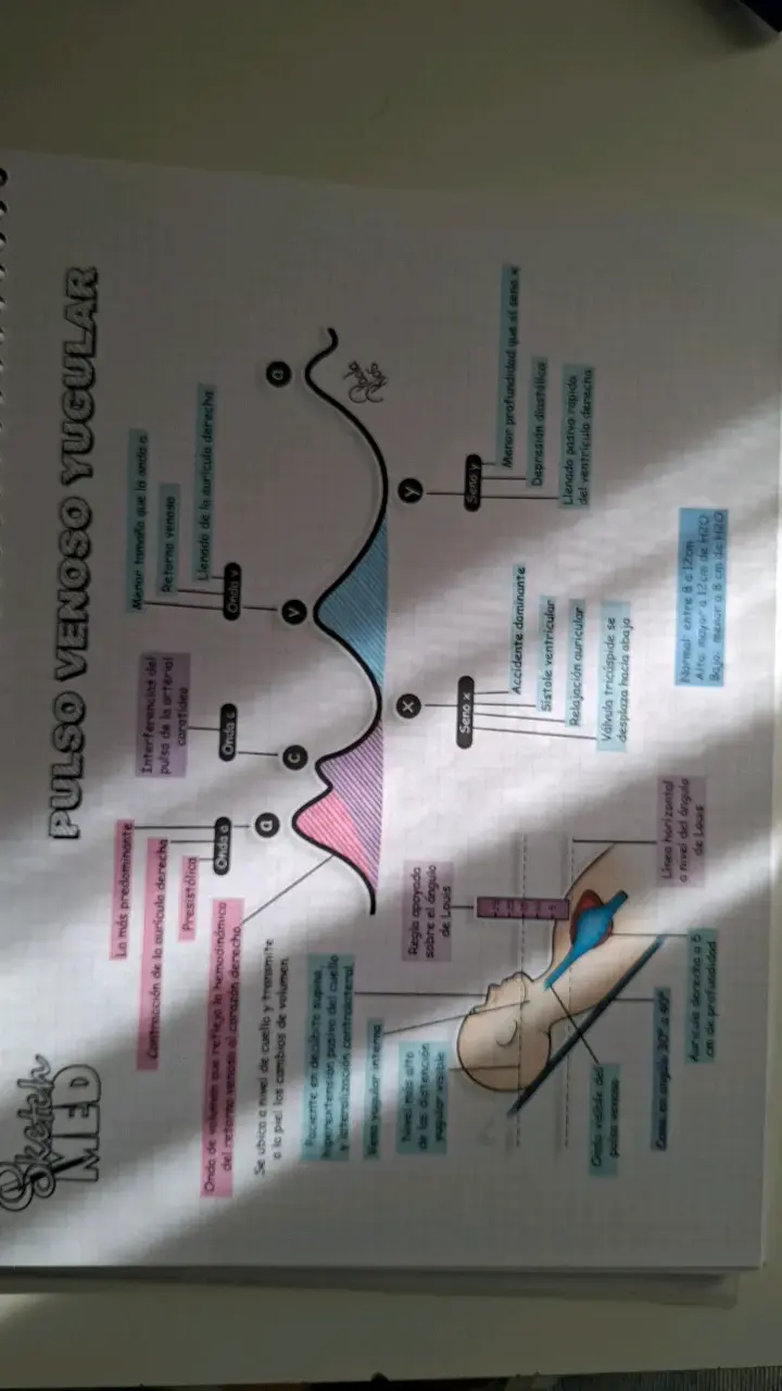 Cuaderno EKG Ilustraciones Médicas 2021 - 2