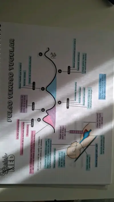 Cuaderno EKG Ilustraciones Médicas 2021 - miniatura 2