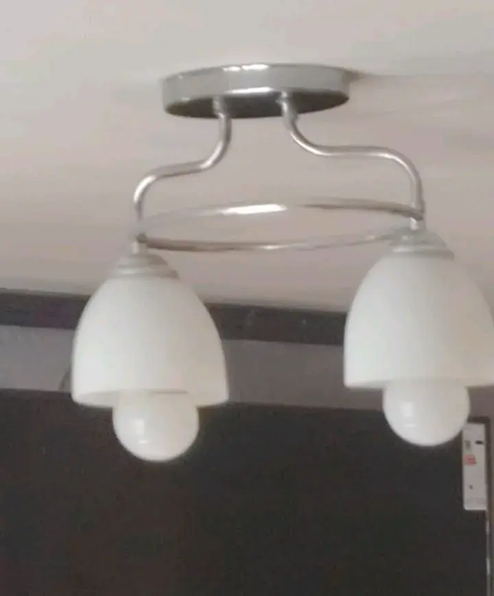 Lámpara de techo doble moderna - 3