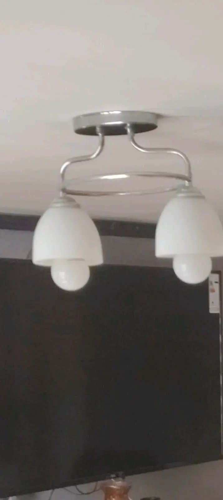 Lámpara de techo doble moderna - 4
