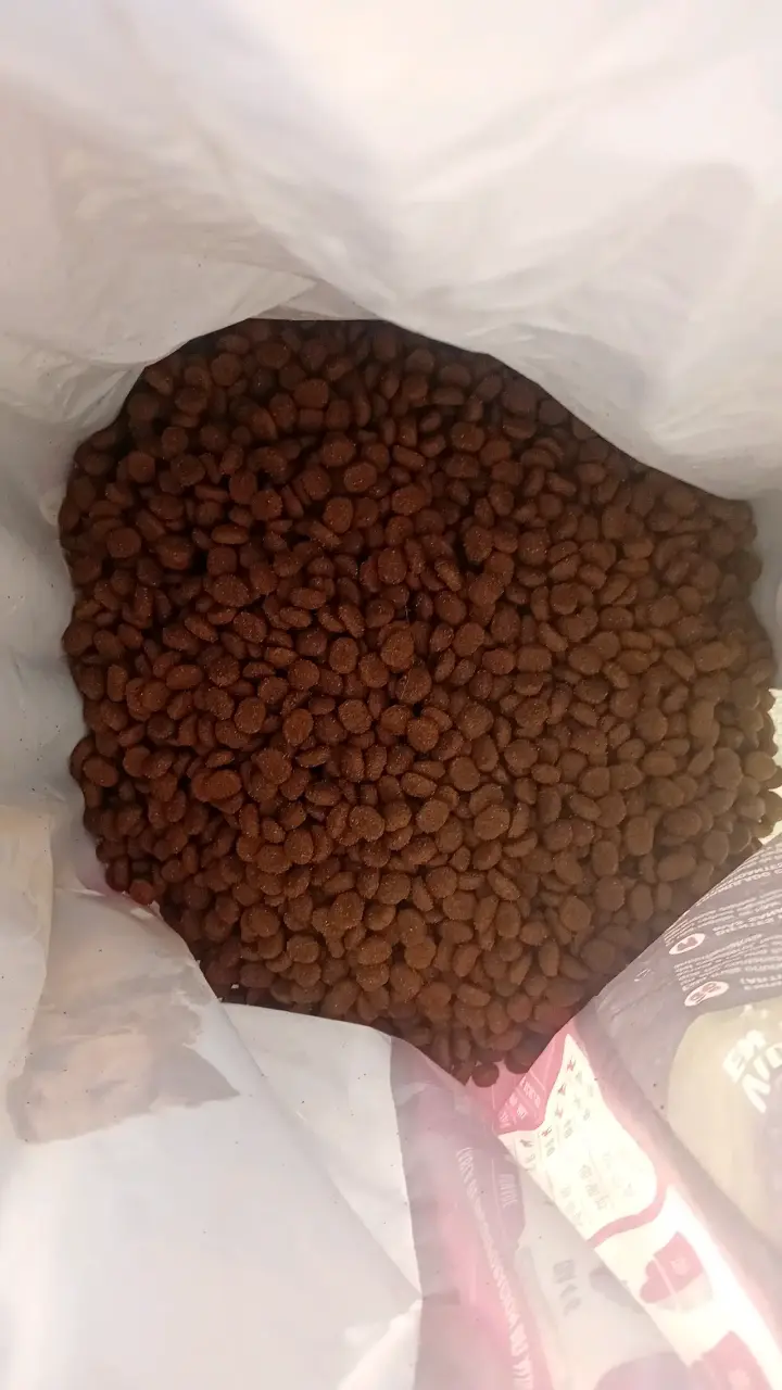 Alimento para perro Nómade adulto 20kg - 2