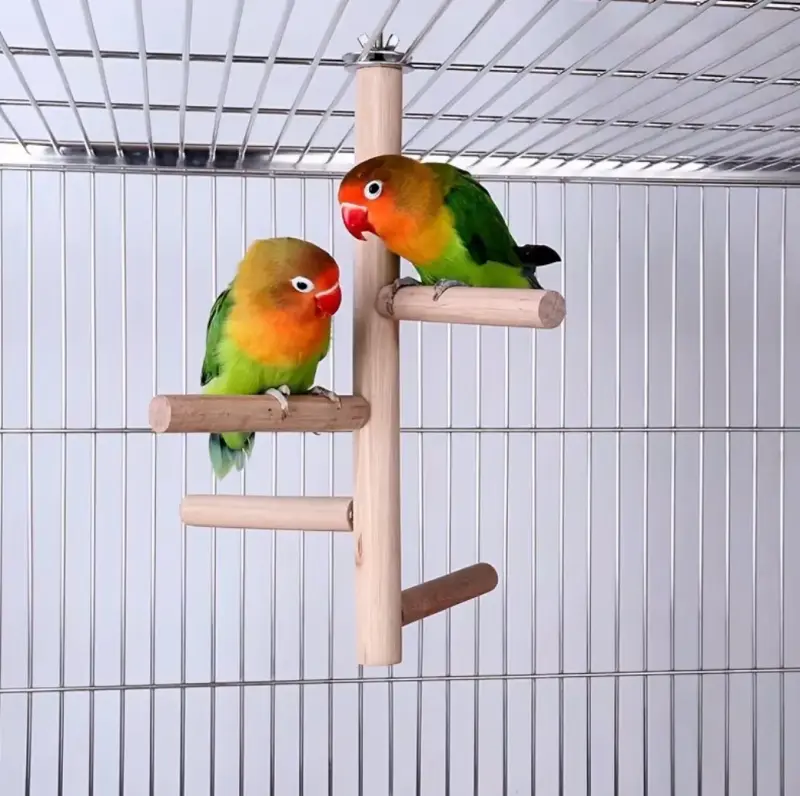 Percha espiral de madera para jaula de aves - 4