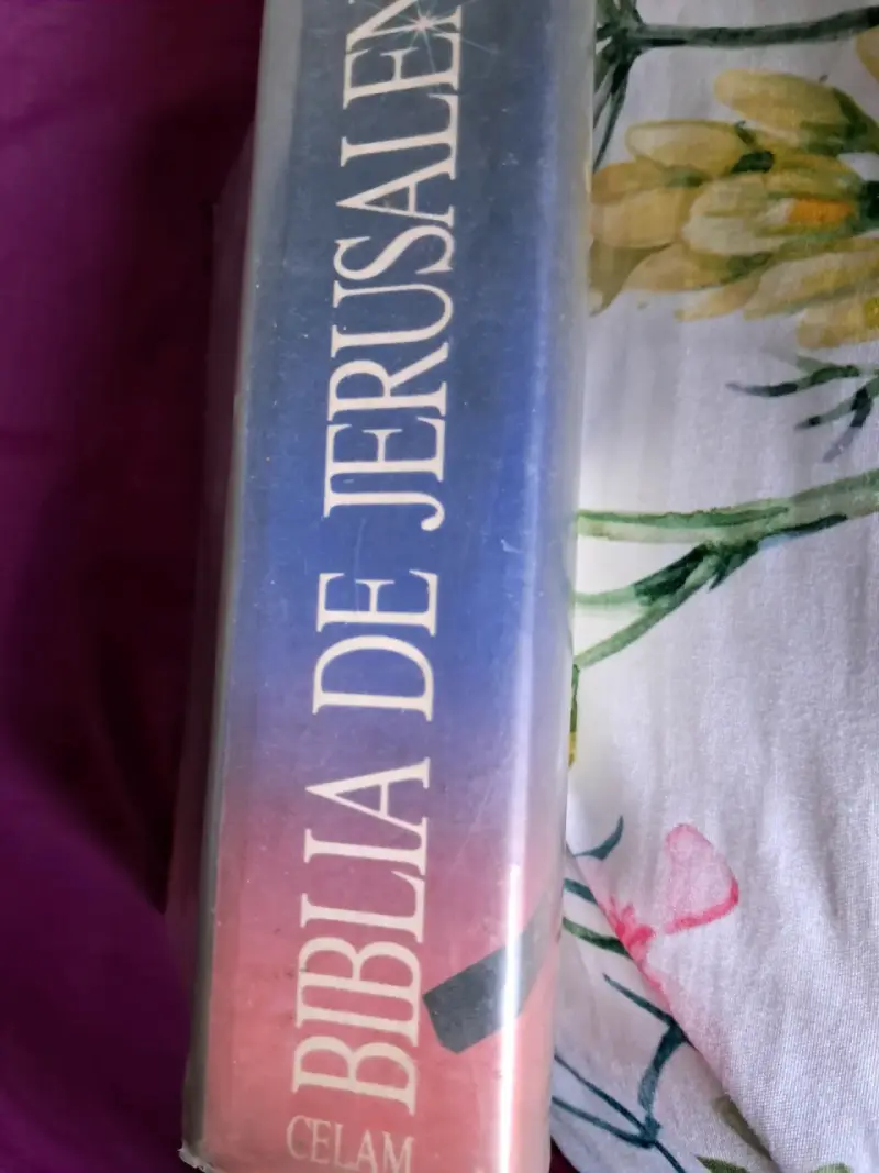 Biblia de Jerusalén CELAM en buen estado - 1
