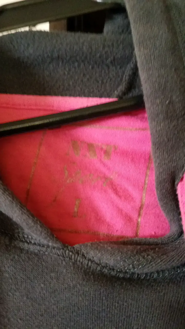 Polerón deportivo NXT Sport gris y rosado - 2