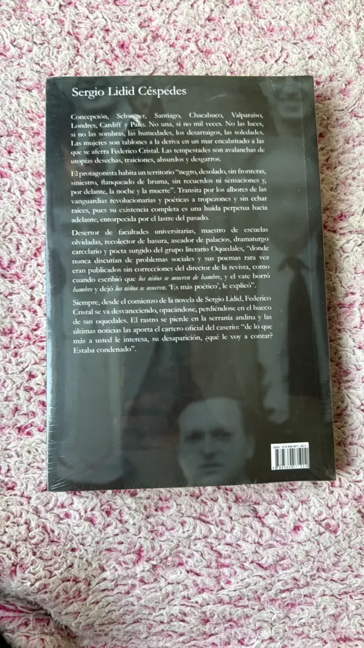 Libro 'La desaparición de Cristal'  Sergio Lidid - 2