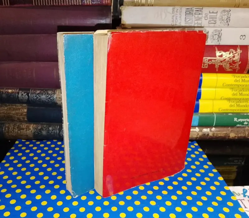 Pack 2 Libros - Nicomedes Guzmán - 3