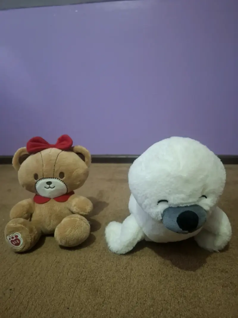 Set de peluches foca y del oso de hello kitty - 1