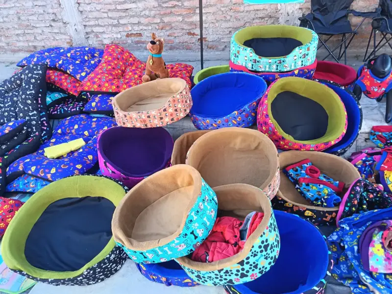 Camas y ropa para mascotas coloridas - 2