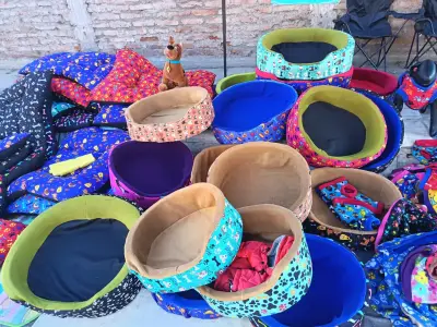 Camas y ropa para mascotas coloridas - miniatura 2