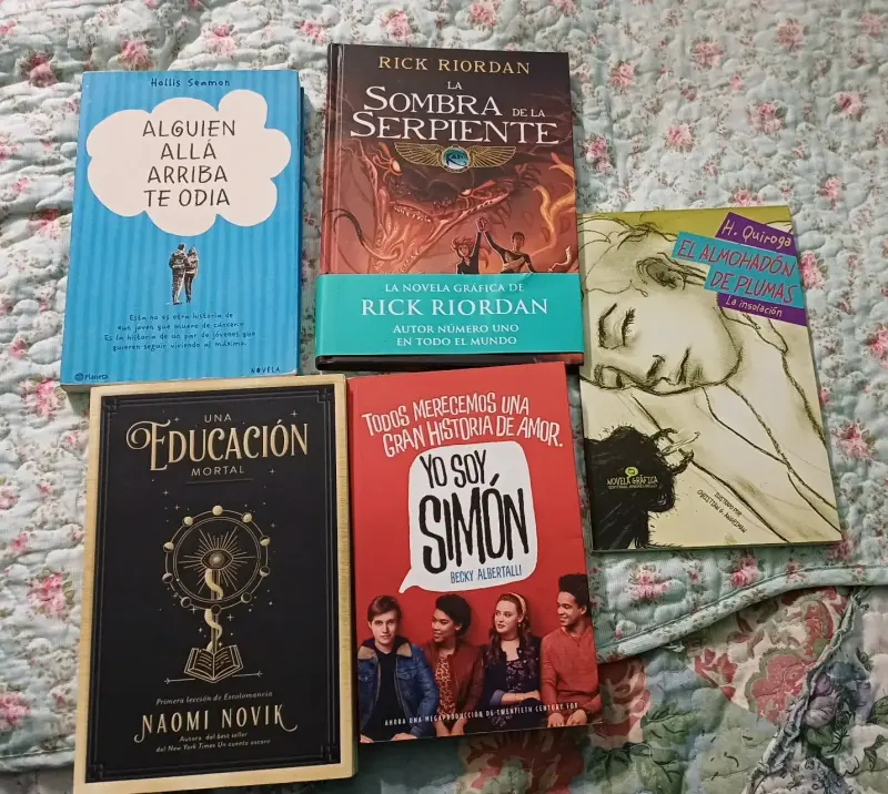 Lote de libros variados en buen estado