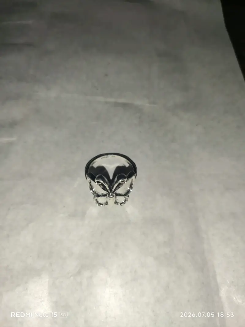 Anillo de acero - 5