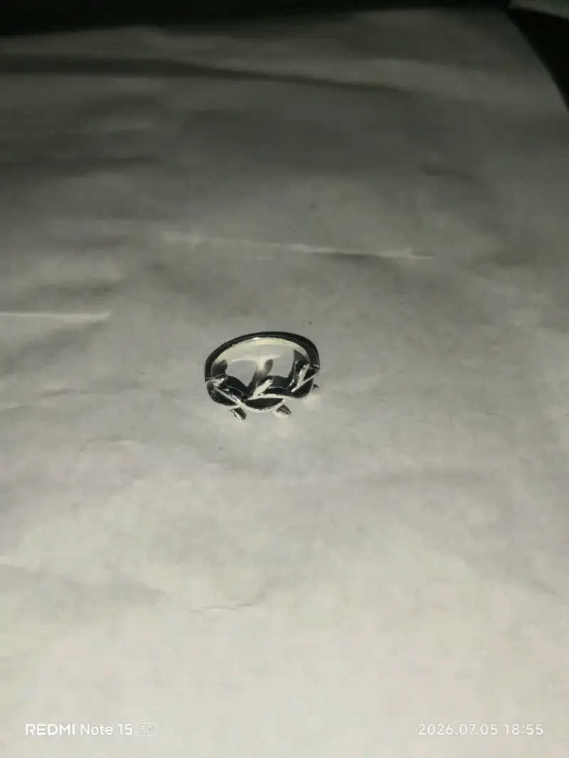 Anillo de acero - 7