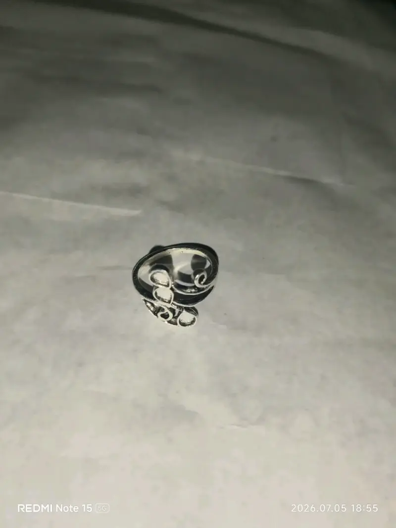 Anillo de acero - 8