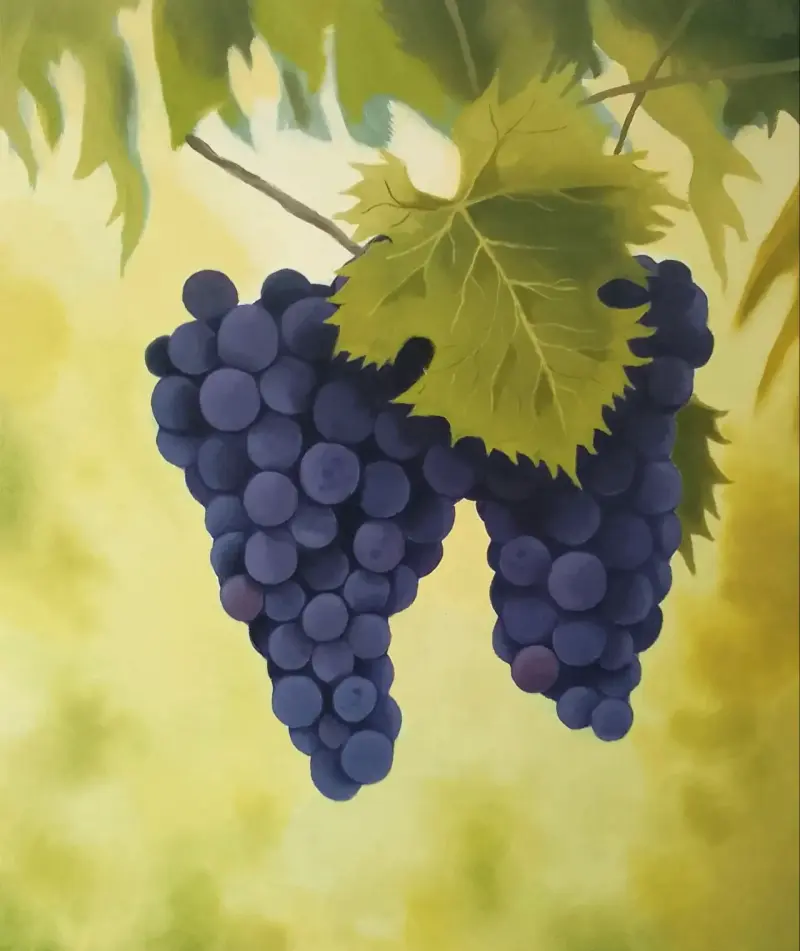 Cuadro decorativo de uvas. Oleo sobre tela. - 2
