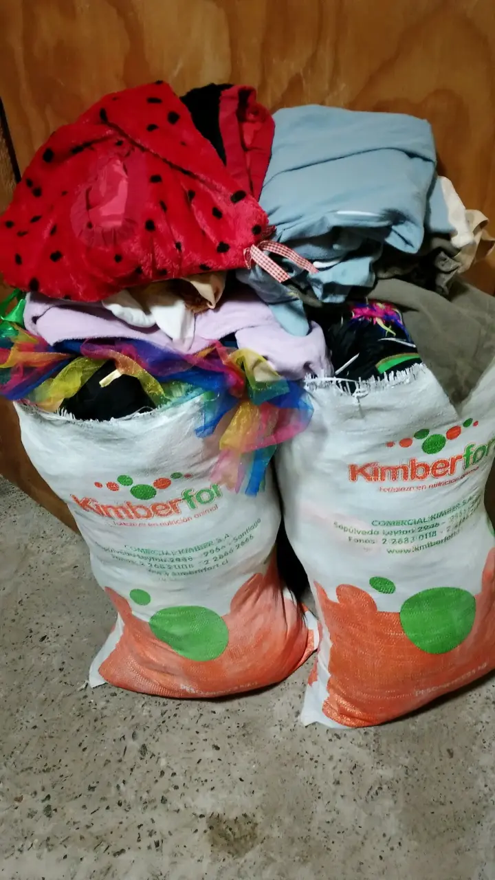 Lote de disfraces variada para niños