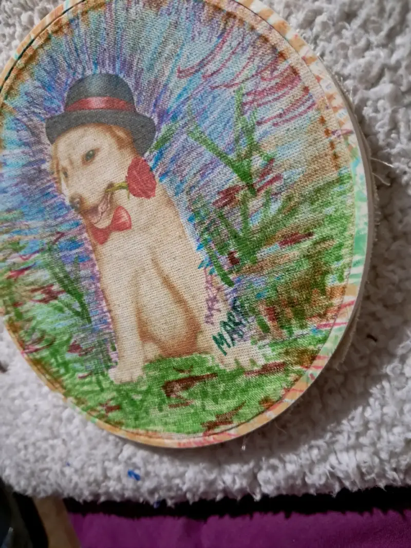 Pintado - 2