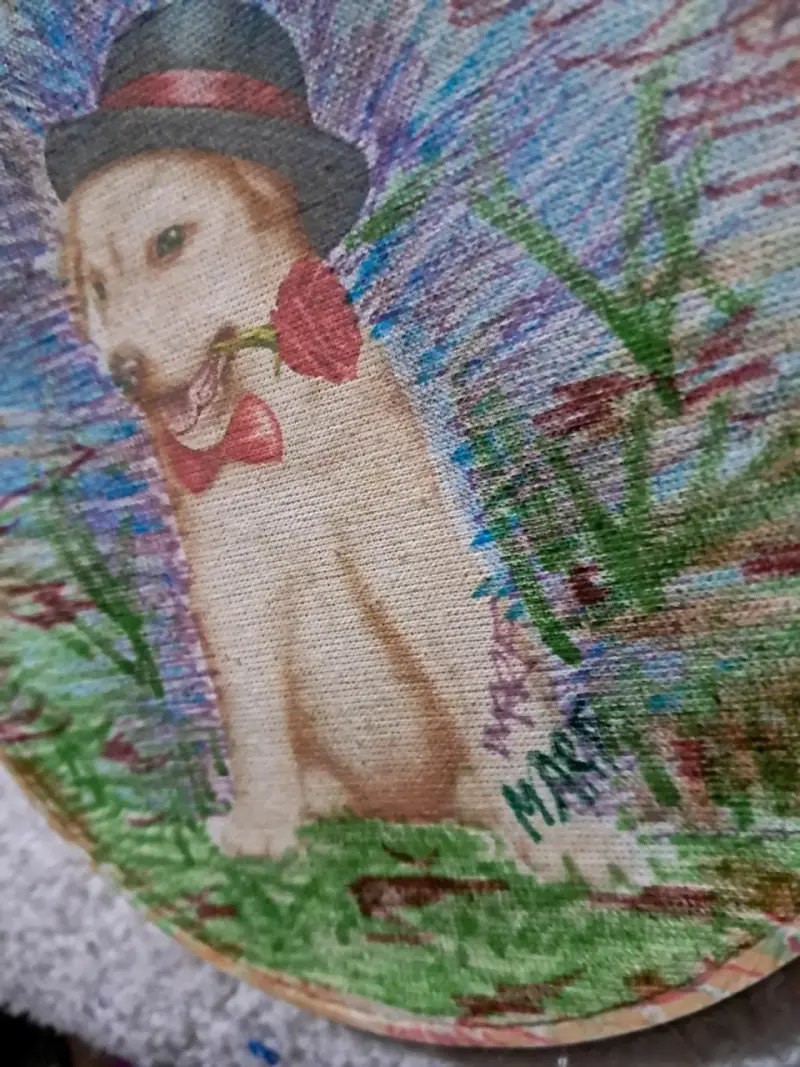 Pintado - 3
