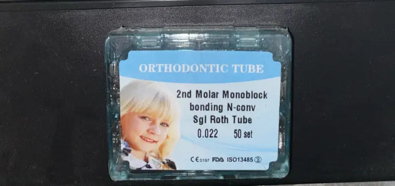 Modelo dental anatómico en resina - 5