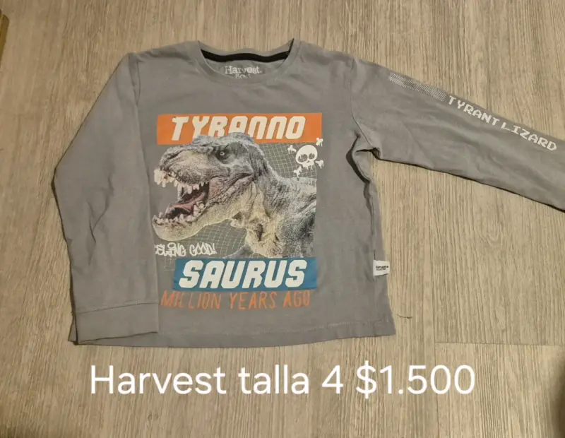 Polera infantil Harvest T-Rex gris - 2