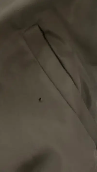 Chaqueta bomber - miniatura 3