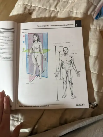 Netter Cuaderno de Anatomía para Colorear 3ra Edición - miniatura 3