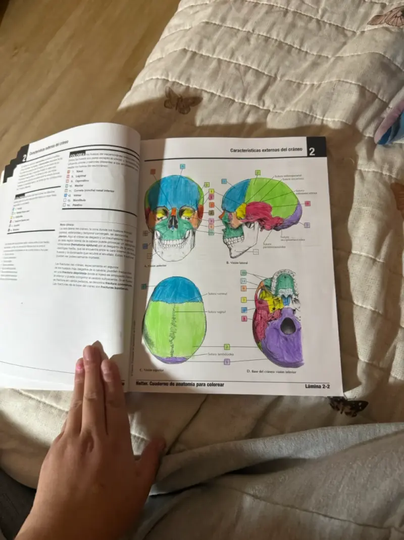Netter Cuaderno de Anatomía para Colorear 3ra Edición - 6