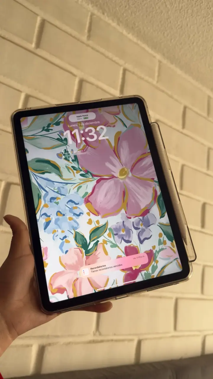 iPad Air 10.9" Wi-Fi 256 GB 4th Gen - 3