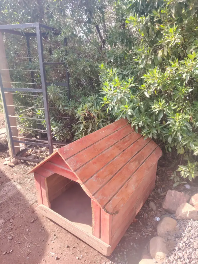 Casa de perro de madera resistente
