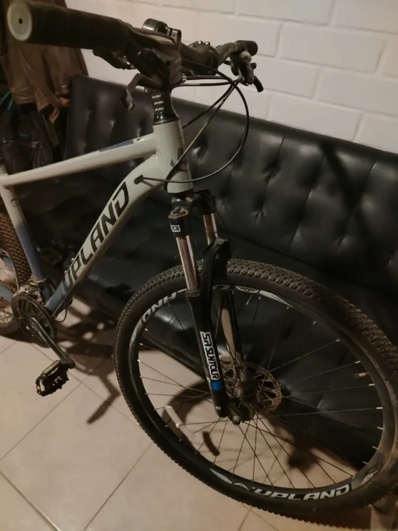 Bicicleta Upland X-90 Aro 29 unisex - 2