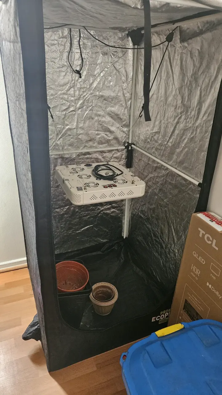 Carpa de cultivo Born to Grow negra - 4