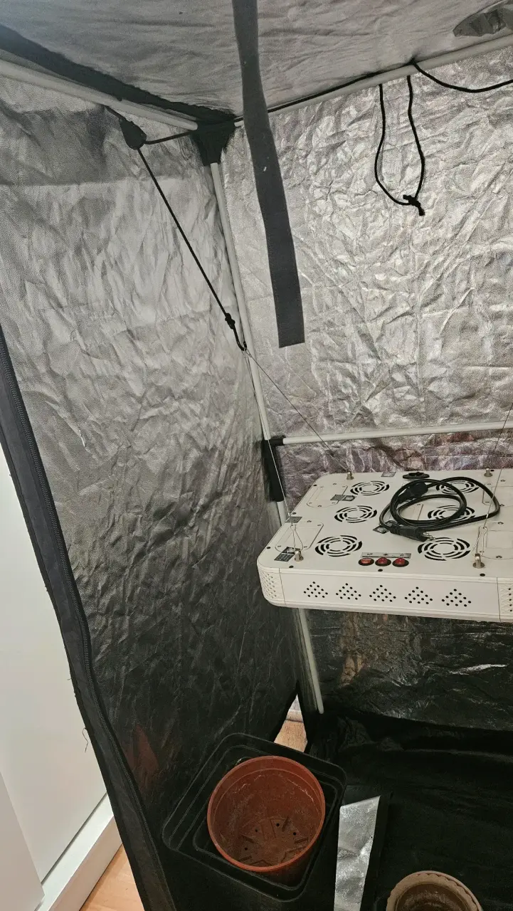 Carpa de cultivo Born to Grow negra - 5
