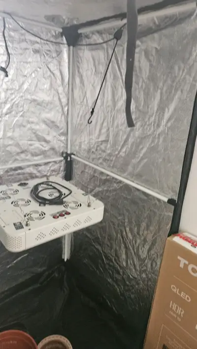 Carpa de cultivo Born to Grow negra - miniatura 6