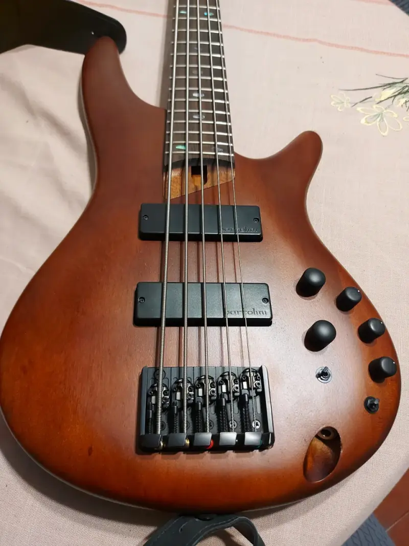 Bajo eléctrico de 5 cuerdas Ibanez