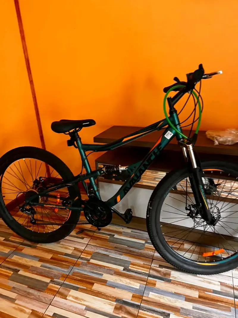 Bicicleta MTB Avalanche - 1